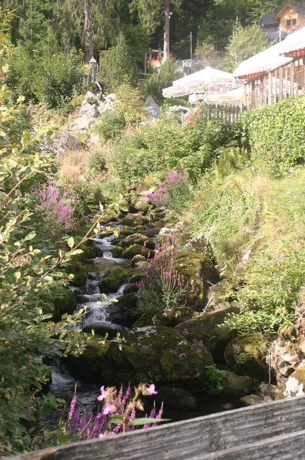 Gastehaus Zur Lilie Hotell Triberg im Schwarzwald Eksteriør bilde